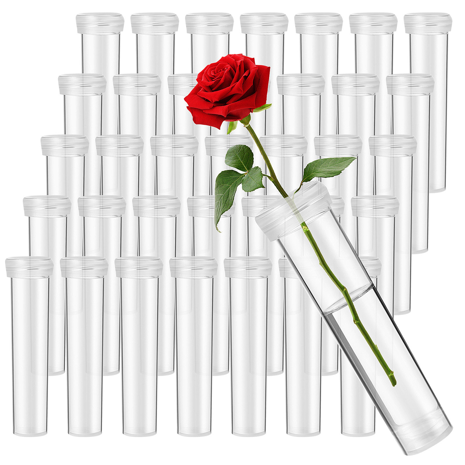 100 Peças de Tubos de Água par - Anda Florist Supply avaliação e preço